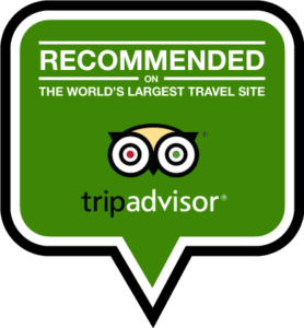 Tripadvisor Badge Tandem Flight